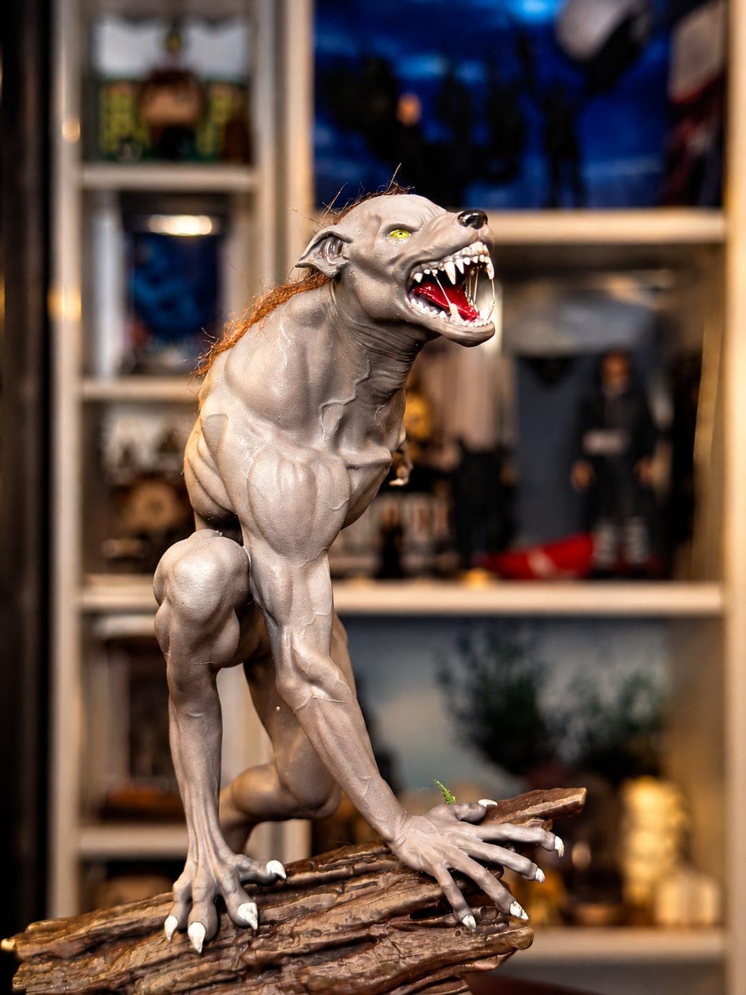Remus Lupin Transformado en Hombre Lobo