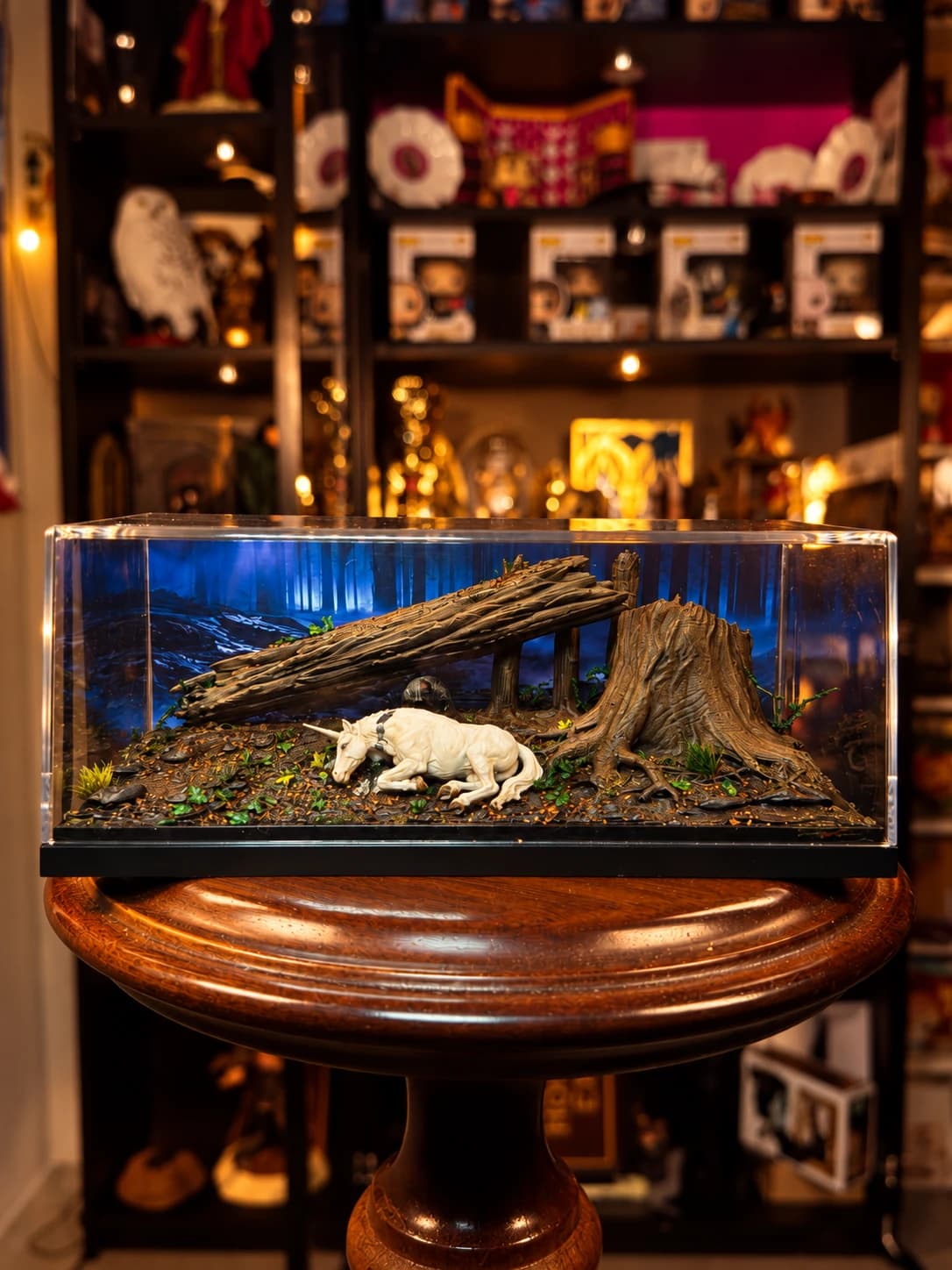 Unicorn and Dark Wizard Diorama