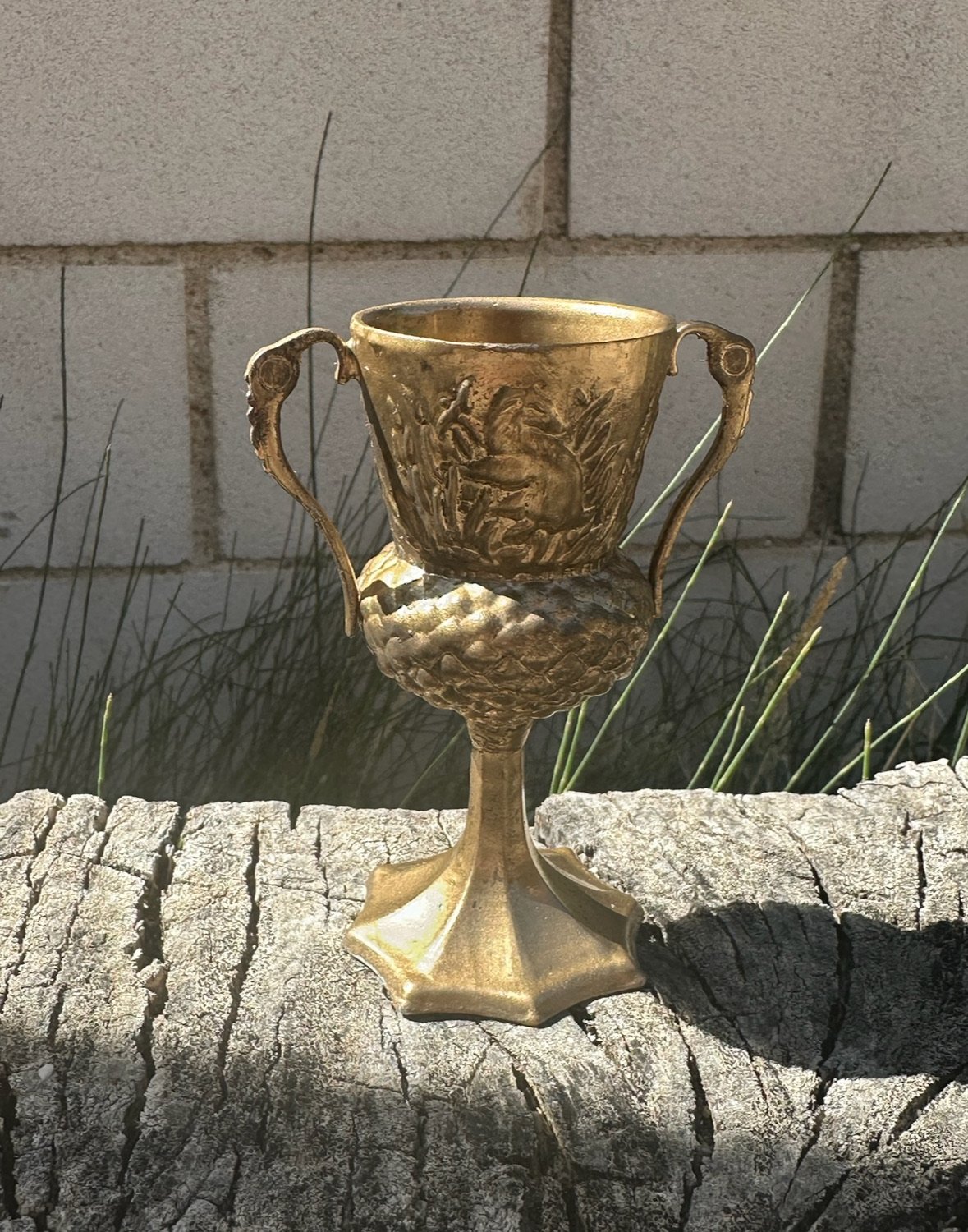 Copa Dorada de la Casa del Castillo Mágico