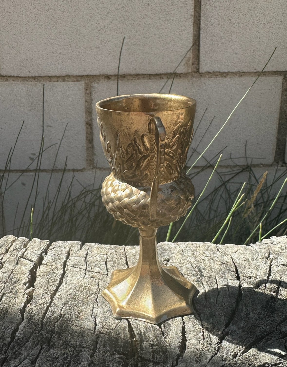 Copa Dorada de la Casa del Castillo Mágico